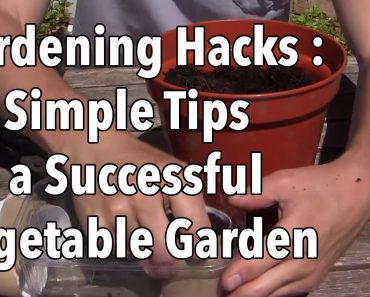 Gardening Hacks – 10 Simple Tips for a Successful Vegetable Garden