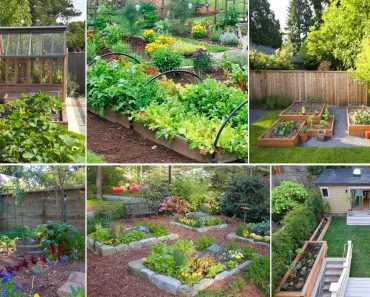 100+ Amazing Backyard Vegetable Garden Ideas! You'll Love | John Ideas