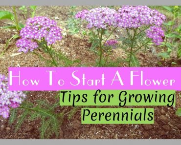 Plant with Me | 9 Tips for Starting a Flower Garden