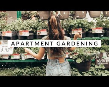 Top 5 Beginner Tips For Apartment Gardeners | Aja Dang + Epic Gardening