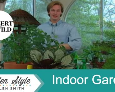 Indoor Gardening Tips | Garden Style (619)