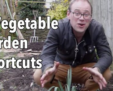 7 Vegetable Garden Shortcuts: Gardening Tips to Save Time