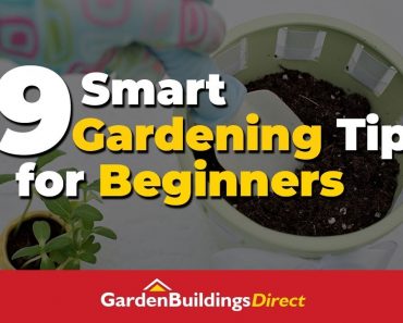 9 Smart Gardening Tips for Beginners – The Basics Of Gardening