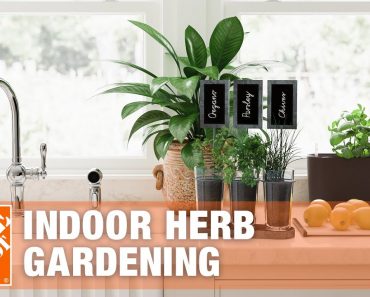 Indoor Herb Gardens: Tips and Tricks | The Home Depot