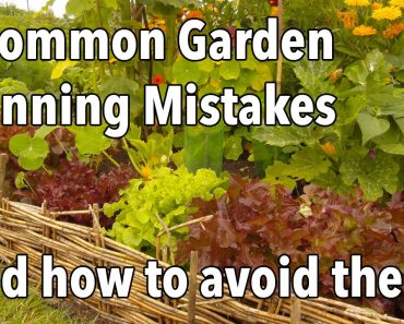 3 Common Garden Planning Mistakes (and how to avoid them)