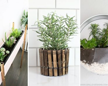 10 Clever and Cheap Indoor Garden Ideas