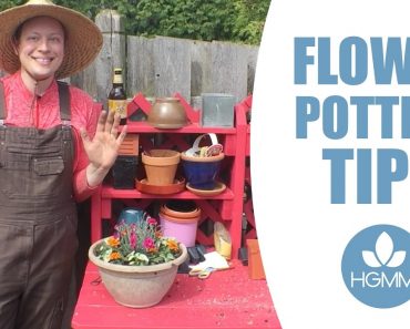 Flower Potting Tips & Tricks