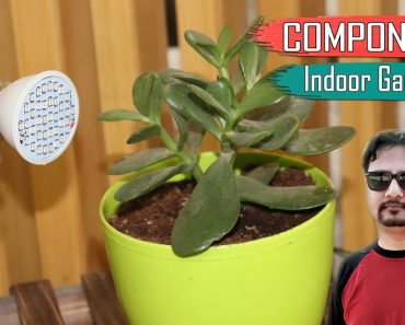 BASIC COMPONENTS OF INDOOR GARDENING | Indoor Garden Ideas