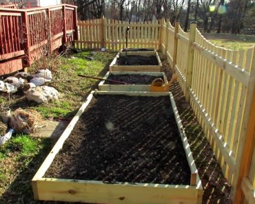 Your First Vegetable Garden?:  A Quick Overview of Raised Bed Gardens – Tips, Purpose & Design