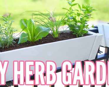 DIY HERB GARDEN | How To Plant an Herb Garden – Great for Apartments!! Easy Beginner Gardening!!