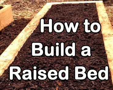 How to Build a Raised Garden Bed with Wood – Easy (EZ) & Cheap