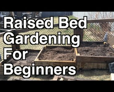 Raised Bed Gardening For Beginners. Site Selection, Organic Soil and Mulch
