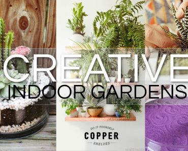 20 Creative Indoor Garden Ideas
