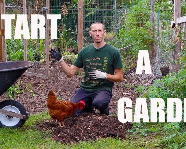 How to Start A Food Forest Garden! Organic Gardening