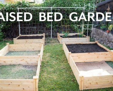 Raised Bed Gardening – How To Start A Garden With Raised Beds