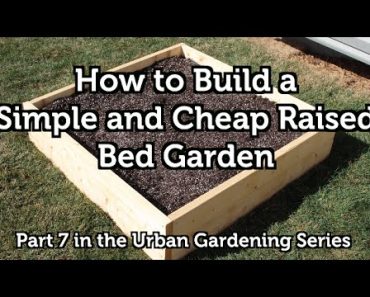 How to Build a Wood Raised Bed Garden for Beginners Simple and Easy EZ