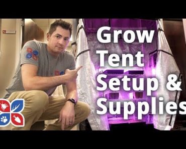 Grow Tent Setup and Supplies – Indoor Gardening Setup | DoMyOwn.com