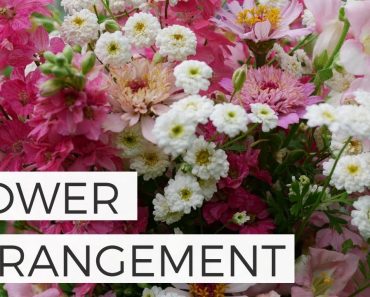 Summer Pink Larkspur Flower Arrangement – Cut Flower Gardening for Beginners