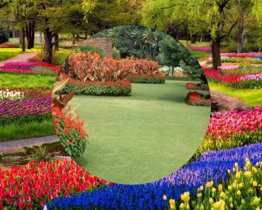 GardenScape Mastery flower garden tips.trick and ideas perennials.