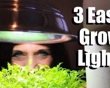 3 Easy Grow Light Set Ups for Starting Vegetable Seeds Indoors & Lumens and Kelvin Explained