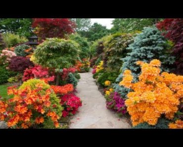 Top 80 Beautiful Flower Garden Decor Ideas Everybody Will Love
