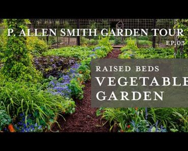 Vegetable Garden Tour | Raised Beds & Containers: P. Allen Smith (2019) 4K