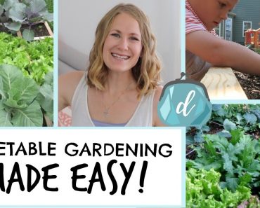 How to start an EASY vegetable garden! (Small Space Square Foot Garden)