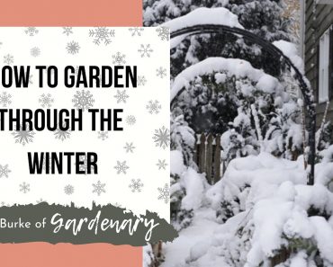 How To Garden Through The Winter: Easy Indoor Container Gardening Tips and Tricks For Every Gardener