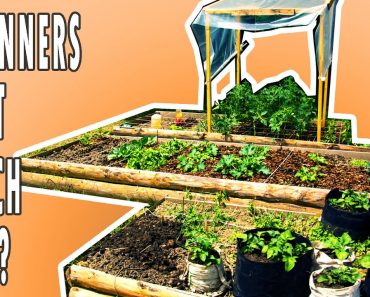 6 STARTING TIPS | Square Foot Gardening In Raised Beds (Do You Know Them ALL?)
