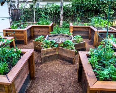 [Garden Ideas] raised vegetable garden bed