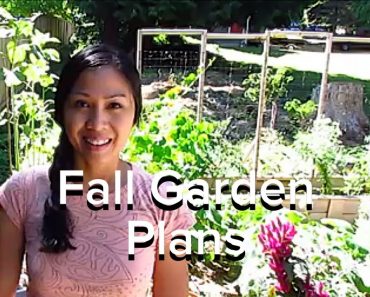 What To Plant for a Fall Vegetable Garden Tips