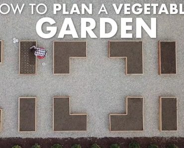 How to Plan a Vegetable Garden! ?‍??? // Garden Answer