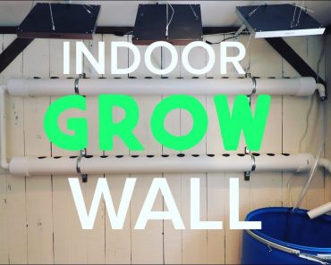 Build a Hydroponic Grow Wall Inside – Grow Plants Year Round and Save Money!