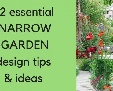 12 'narrow garden' design tips and ideas