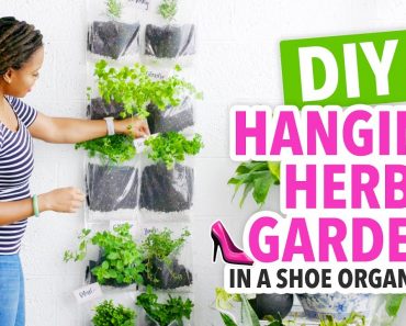 DIY Indoor Herb Garden in a Shoe Organizer! – HGTV Handmade
