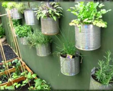 Small Backyard vegetable garden ideas