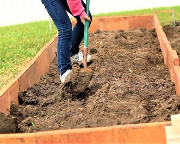 How to build a vegetable garden from lawn in three days