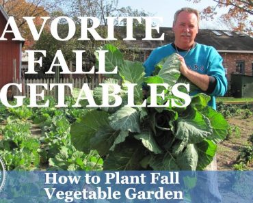 How to Plant Fall Vegetable Garden & Our Favorite Vegetable