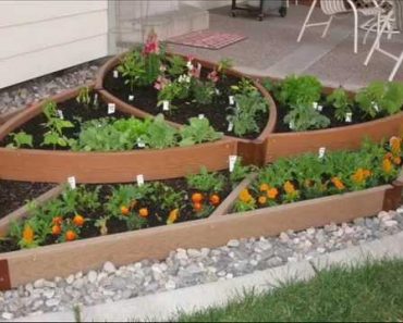 Vegetable Garden Designs For Small Yards I Vegetable Garden Designs and ideas