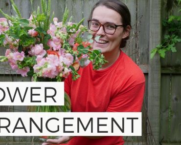 Chantilly Snapdragon Flower Arrangement – Cut Flower Gardening for Beginners