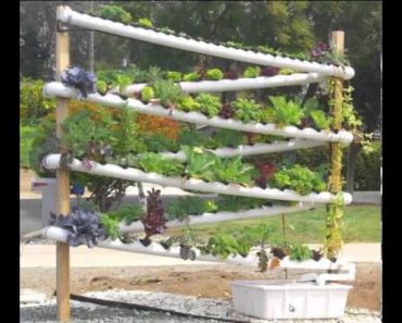 DIY Hydroponic Garden Tower – The ULTIMATE hydroponic system growing over 100 plants in 10 sq feet