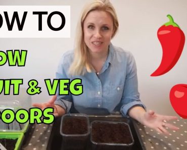 How to grow vegetables indoors without any equipment – so easy