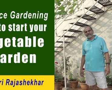 GrowYourOwnFood II Organic Terrace Gardening for Beginners-Step by Step