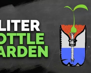 2 Liter Bottle Hydroponics Tutorial by Epic Gardening