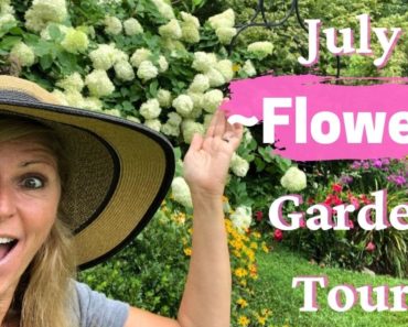 July Flower Garden Tour