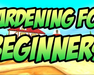 Wizard101: Gardening For Beginners