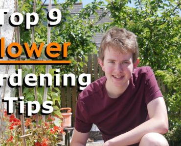 Top 9 Flower Gardening Tips | Create a BEAUTIFUL Garden