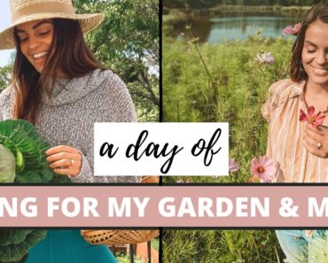 A Day Of Gardening | Growing, Harvesting & Propagating For Beginners