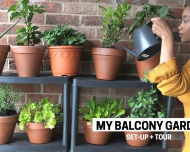 My Apartment Balcony Vegetable Garden | Container Gardening Beginner Tips, Set-Up & Tour