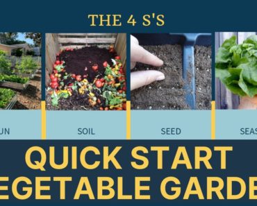 How To Start A Vegetable Garden | Central Florida Gardening 101 for Self Sufficiency